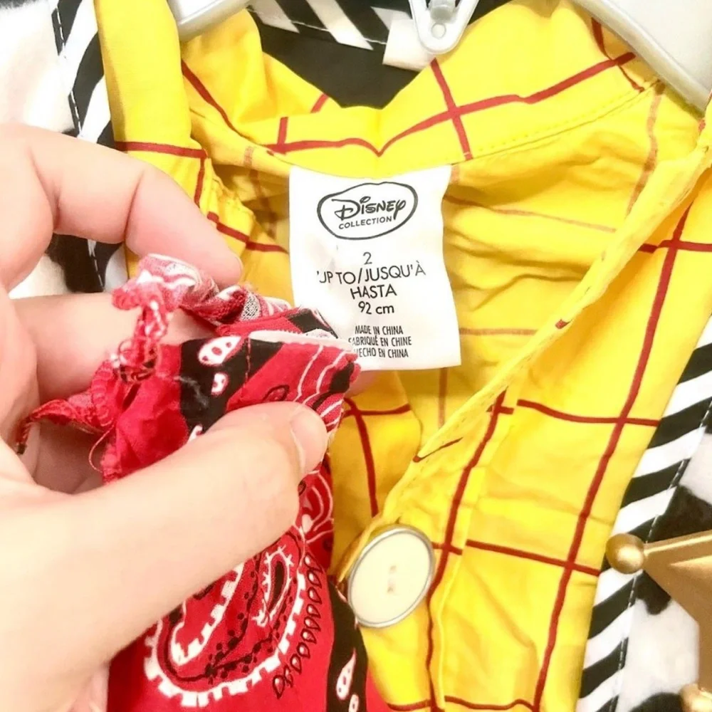 Disney Yellow Plaid Cowboy Sheriff Costume with Brown Hat & Red Bandana - Picture 3 of 4